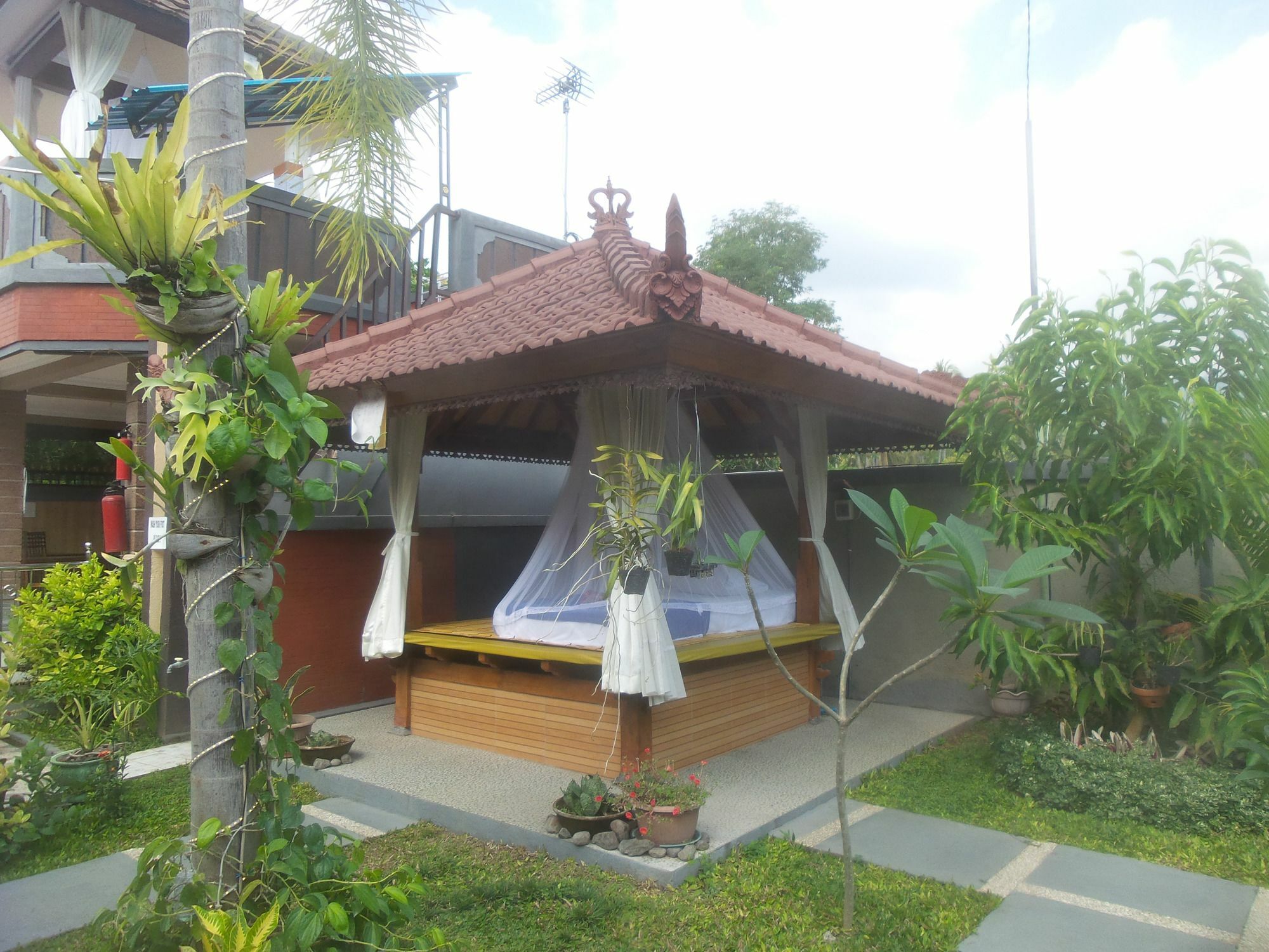 Summer Guesthouse Lovina Esterno foto